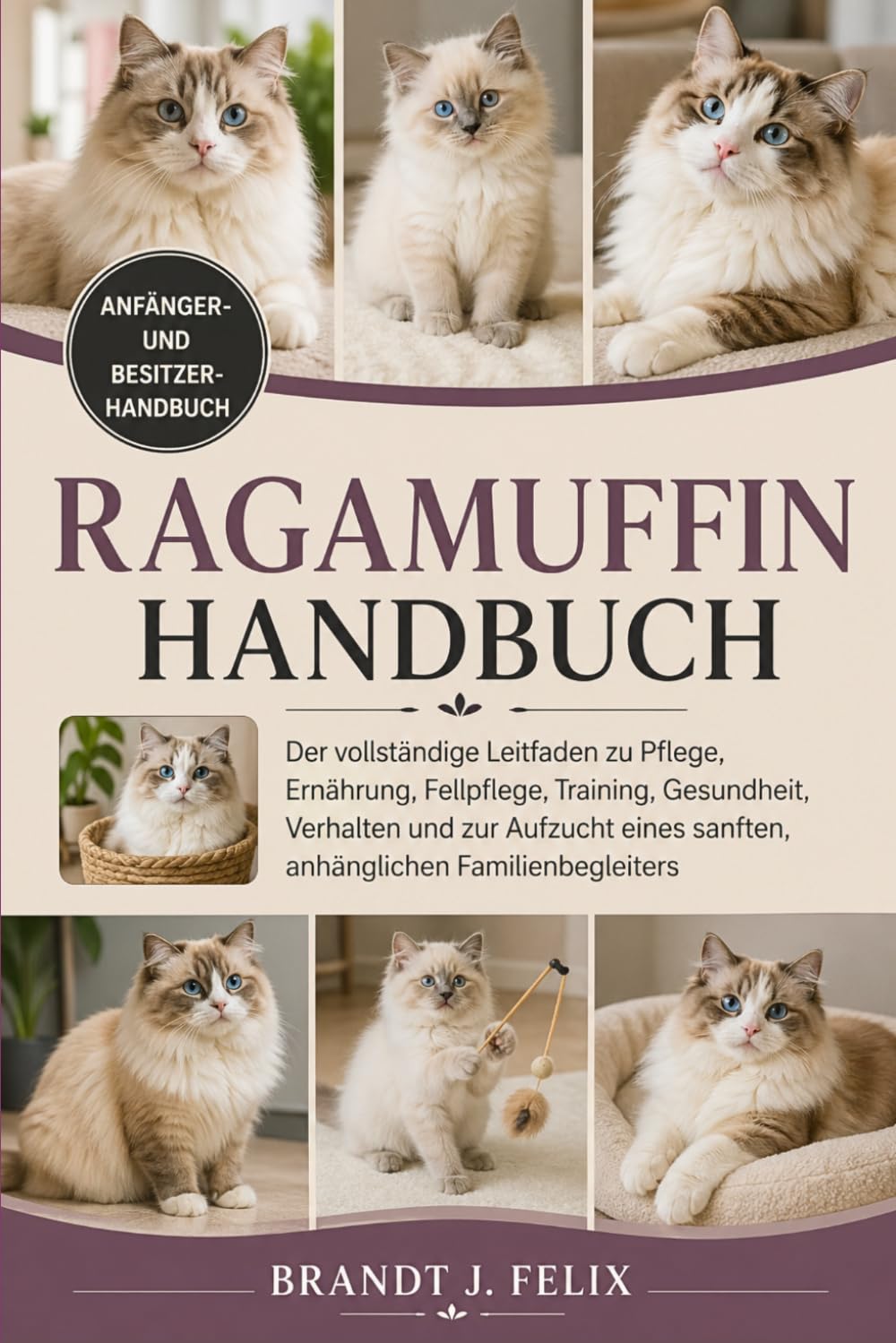 RAGAMUFFIN-HANDBUCH: Der vollständige Leitfaden zu Pflege, Ernährung, Fellpflege, Training, Gesundheit, Verhalten und zur Aufzucht eines sanften, anhänglichen Familienbegleiters