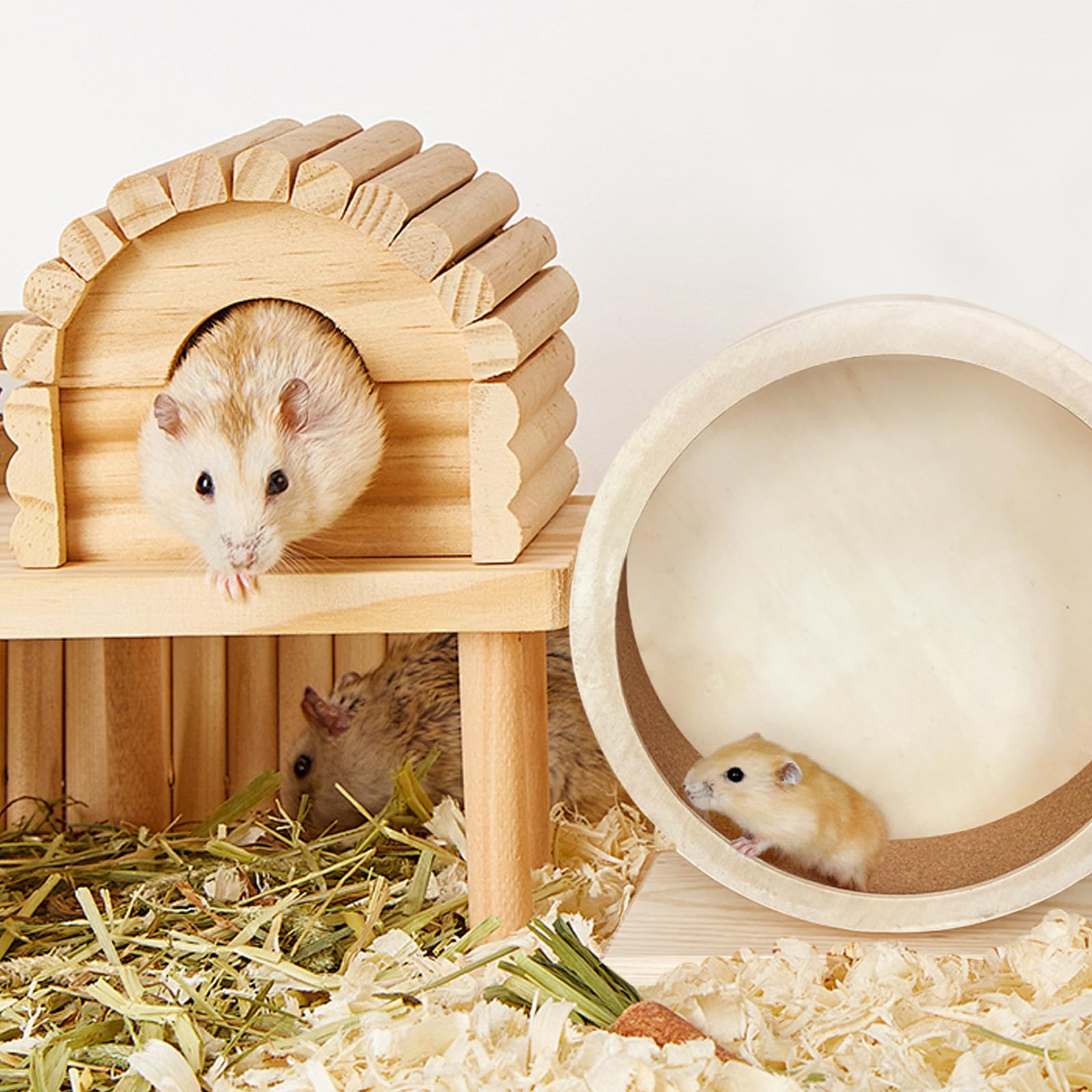 Rotella per criceti in legno per piccoli animali domestici: WIYETY Rotella per criceti silenziosa, rotella per criceti a basso rumore per tranquillità e movimento, rotella per altri piccoli animali