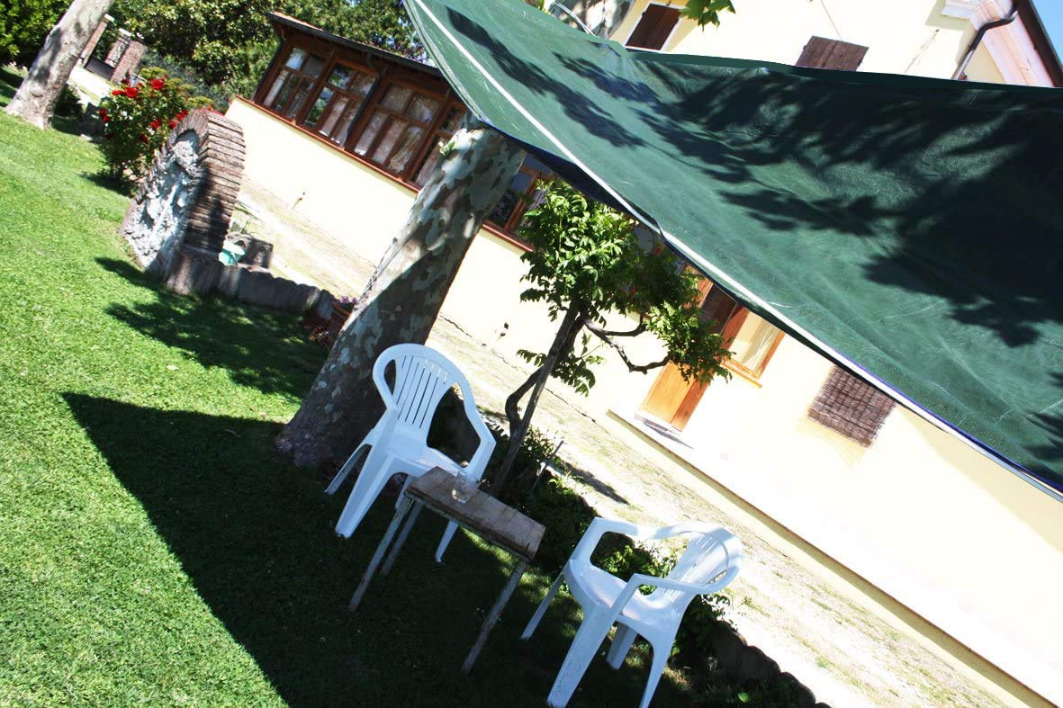 Labor 68291 Telone PVC Rinforzato con Occhielli, 4X6 M, Verde
