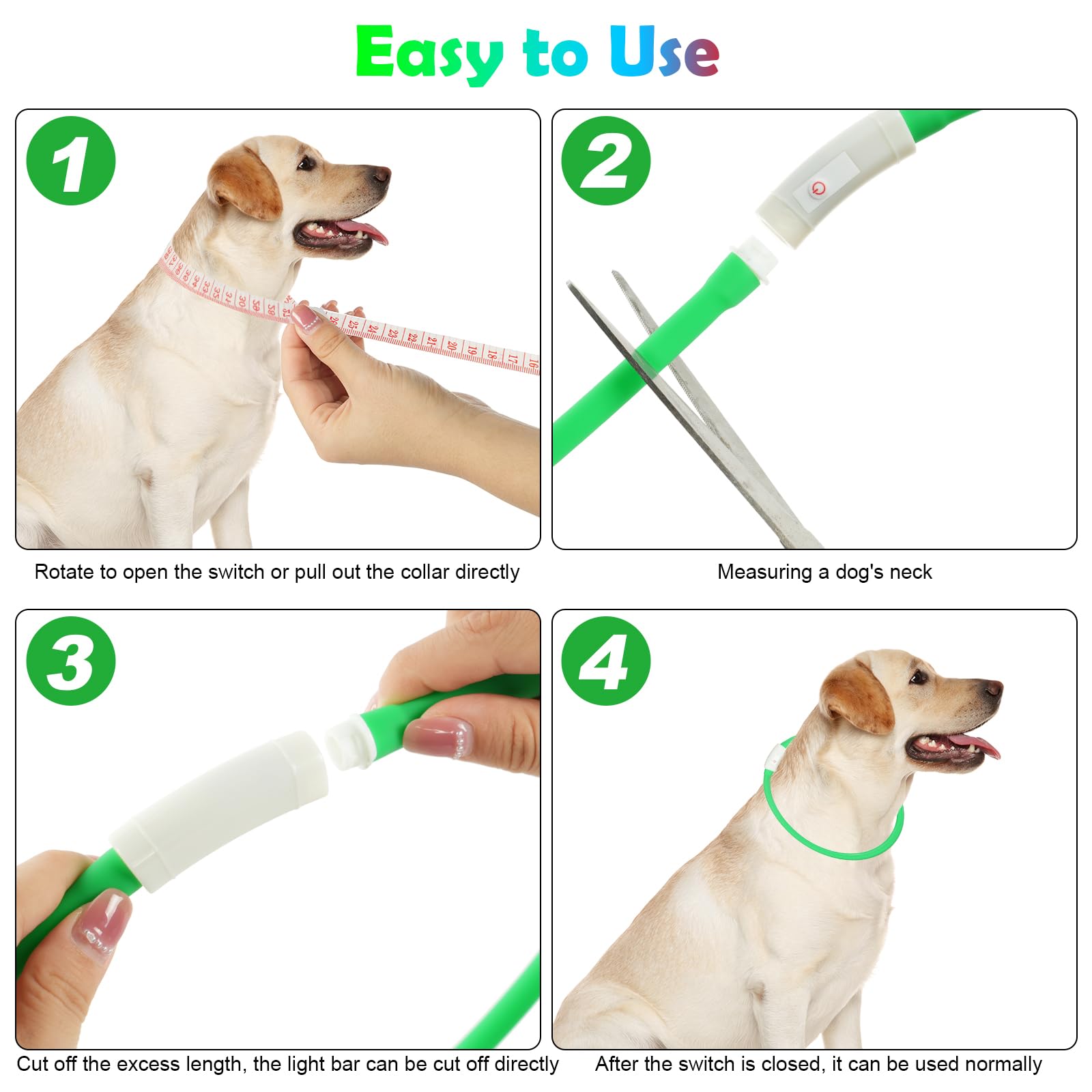 AUAUY Collare Luminoso per Cani, Collare per Animali Domestico LED Ricaricabile USB, Collare di Lunghezza Regolabile con 4 Modalità Luminose per Cani di Taglia Piccola Media Grande - Verde