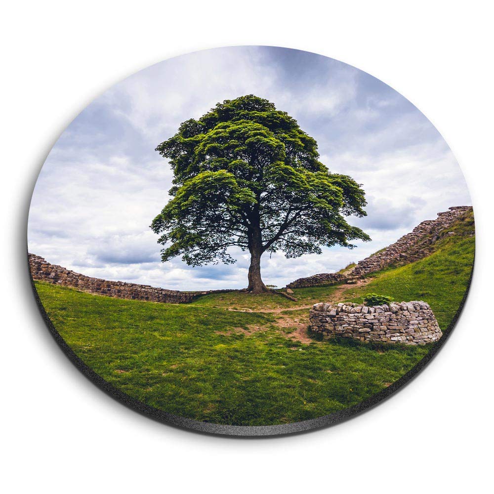 Destination Vinyl Ltd Multicolor 1 X Round Mdf Magnet - Hadrian's Wall Northumberland 2196