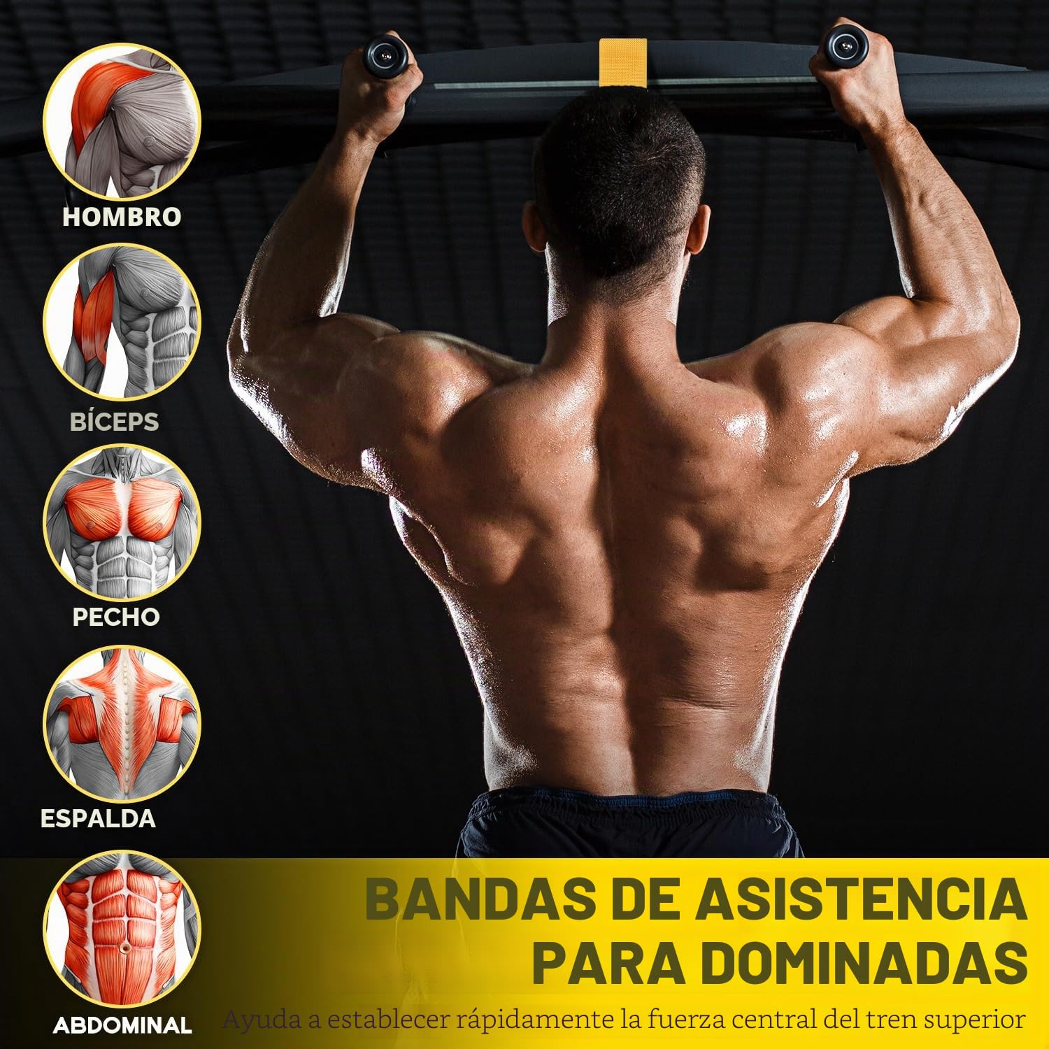 HOXWC Bandas de asistencia para dominadas, banda de resistencia ajustable y resistente para dominadas, 3 bandas de dominadas, cómodo soporte de pies/rodillas, bandas de asistencia para dominadas