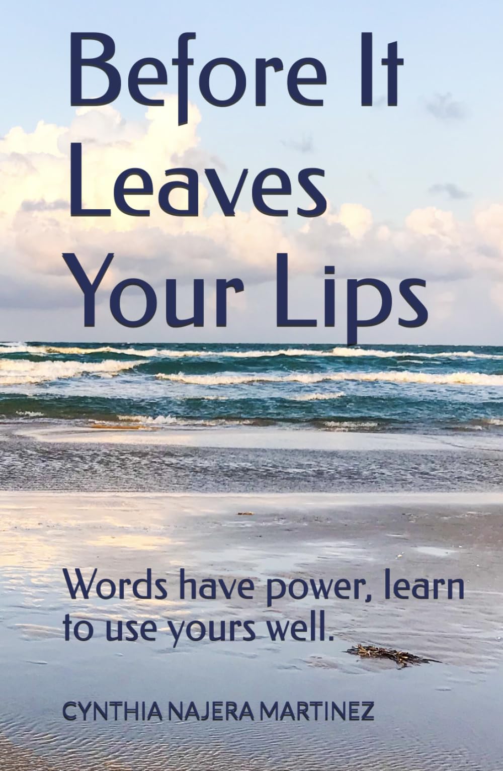 Before It Leaves Your Lips: Words have power, learn to use yours well.