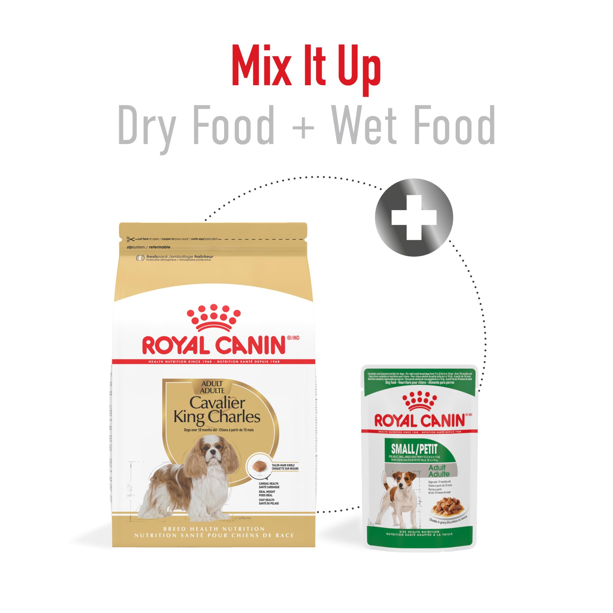 ROYAL CANIN Cavalier King Charles Adult Dry Dog Food 10 lb Bag | Heart Health Weigth Management Coat Health For Adult Cavalier King Charles Spaniel Specialized Kibble for Easy Pickup product thumbnail 7