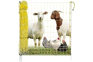 Premier One Poultry Netting: Secure Your Flock with Premium Fencing