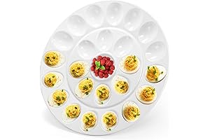 Foraineam Porcelain 12.6 Inches Deviled Egg Platter Dish with 25 Compartments