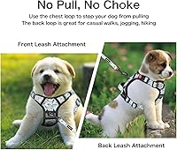 Vista 83 de Petmolico - Juego de arnés para perro sin tirones, 2 correas de sujeción con asa de fácil control, chaleco reflectante para razas pequeñas, arnés