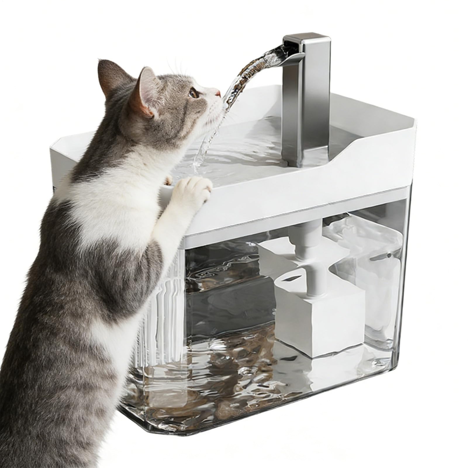 Fontaine à boire pour chats facile à nettoyer pour en finir avec l'eau stagnante