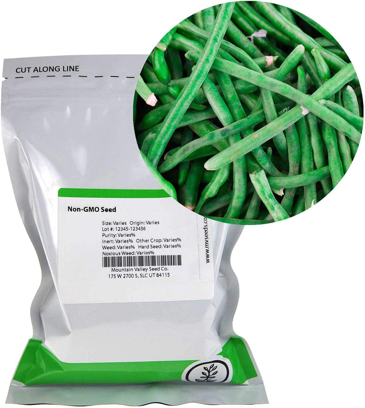 Jade Bush Bean Seeds (Treated) 1 Lb NonGMO, Heirloom