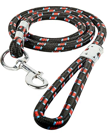 Dog leash online india Outlet