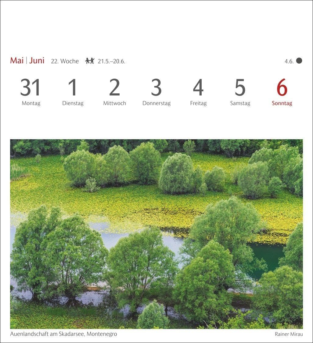 Bäume Postkartenkalender 2027 - Wochenkalender mit 53 Postkarten: Fotokalender mit 53 Postkarten zum Sammeln und Verschicken. Dekorative ... Fotografen. Wochen-Tischkalender 2027