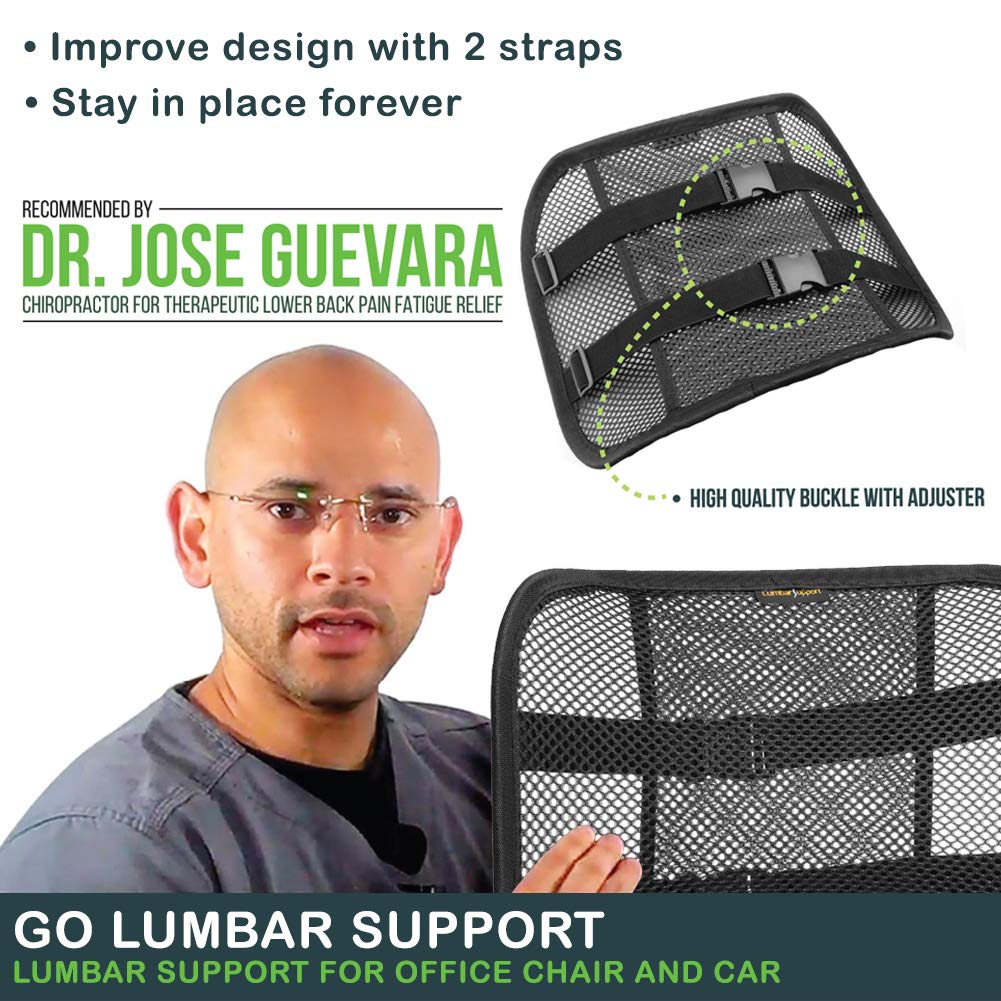 Buy Mesh Lumbar Support as Posture Chair Back Support with Breathable