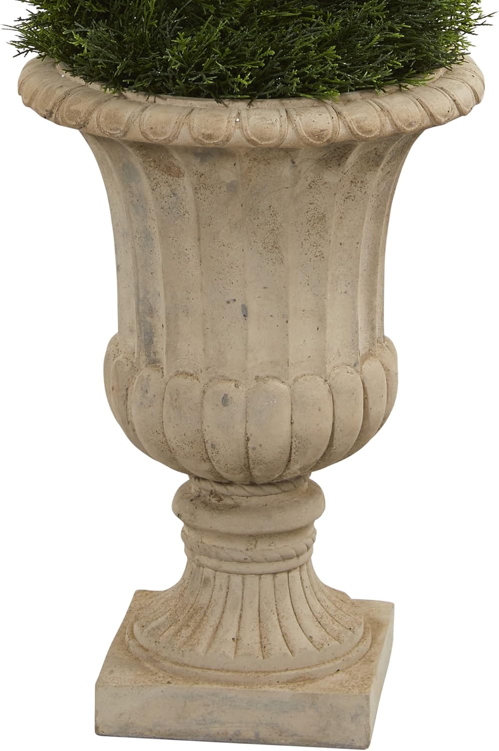 Winter Elegance 5ft Double Spiral Cypress Topiary in Sand Urn