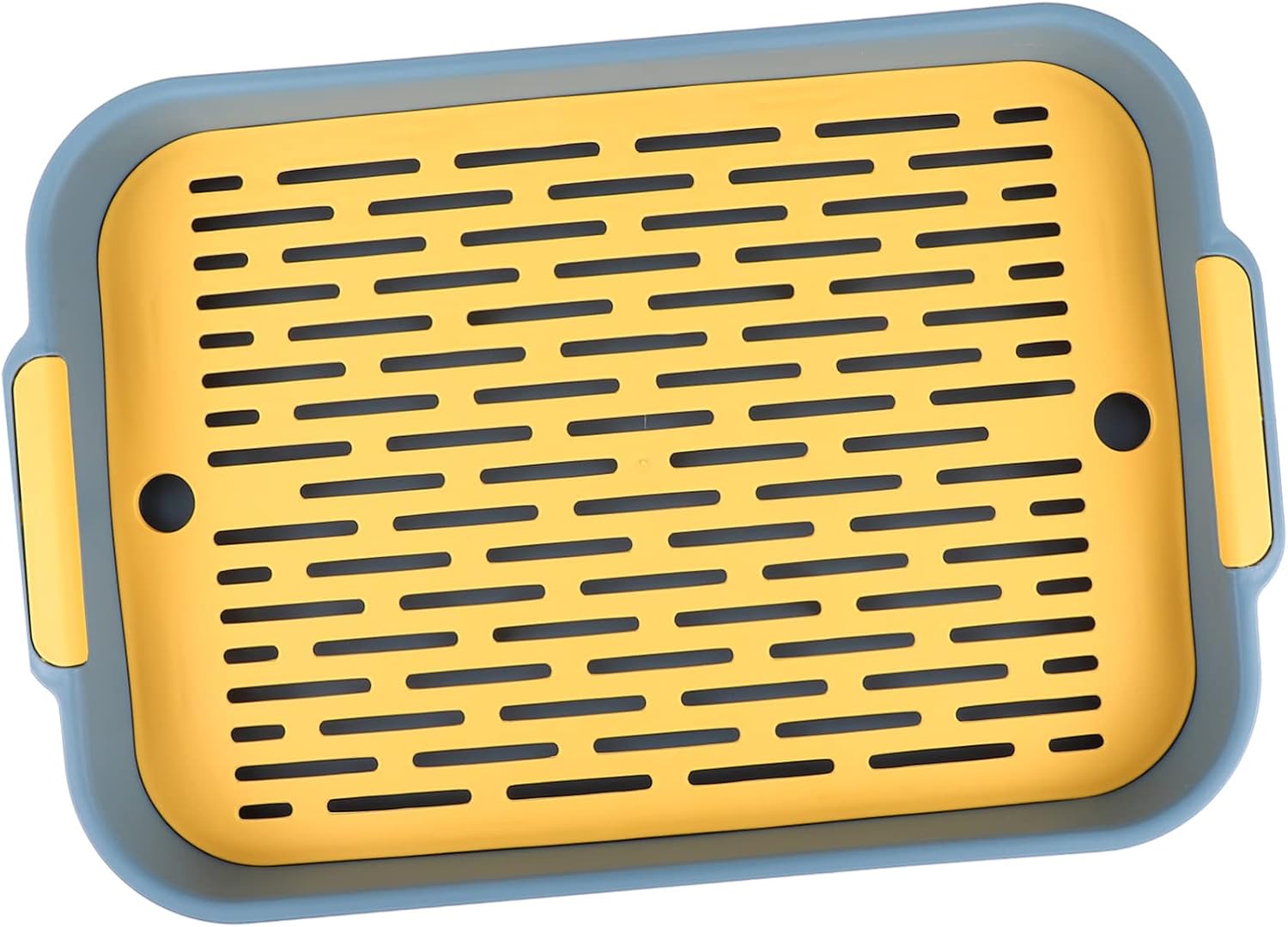 Double Layer Draining Rack Tray Rectangular Cup Drainer Drain Board Kitchen Cutlery Filter Tray for Home Use Suitable for Fruits and Dishes