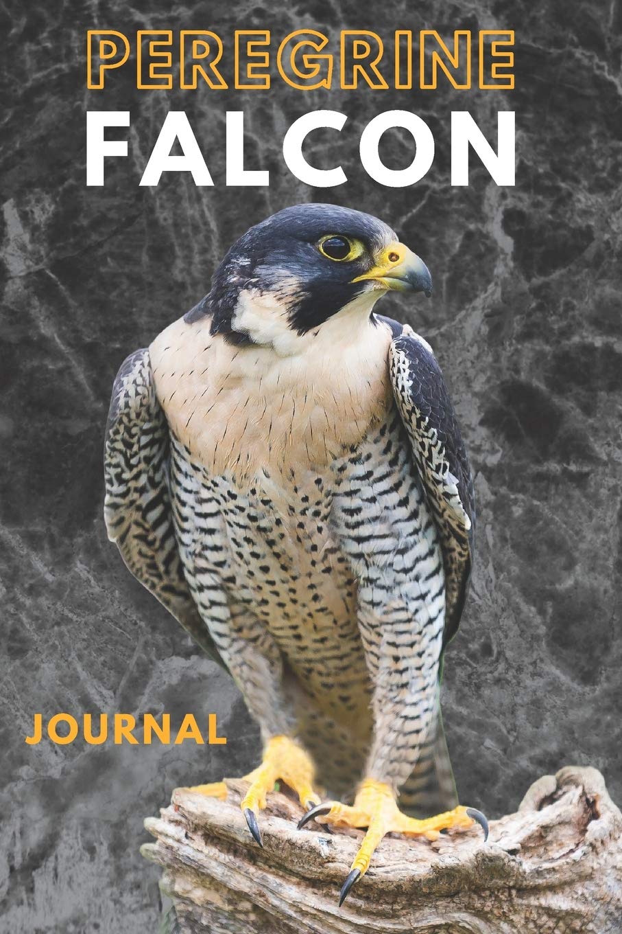 Peregrine falcon journal &Notebook 6" x 9" inch (15.24 x 22.86 cm) 100 Lined pages |peregrine notebook: Peregrine falcon Notebook &falconry journal &falconer journal&bird of prey journal¬ebook