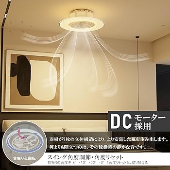 ORALUCE 導光板 シーリングファンライト 12畳 首振り Amazon.co.jp : ORALUCE 導光板 シーリングファンライト 12畳 首