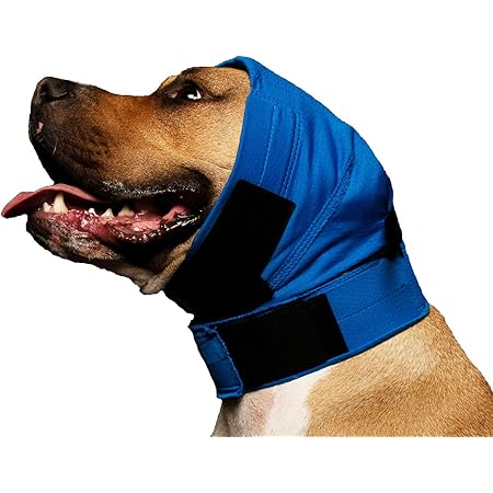 Mutts Ear Mitts Large Amazon Co Uk Pet Supplies