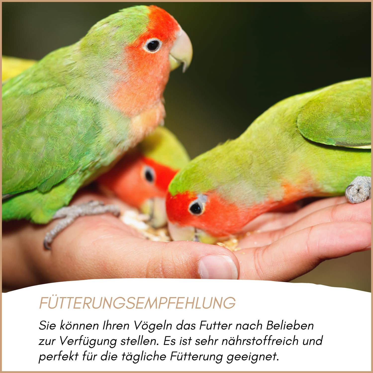 Supravit Agaporniden & Neophemafutter 25kg I abwechslungsreiche Mischung