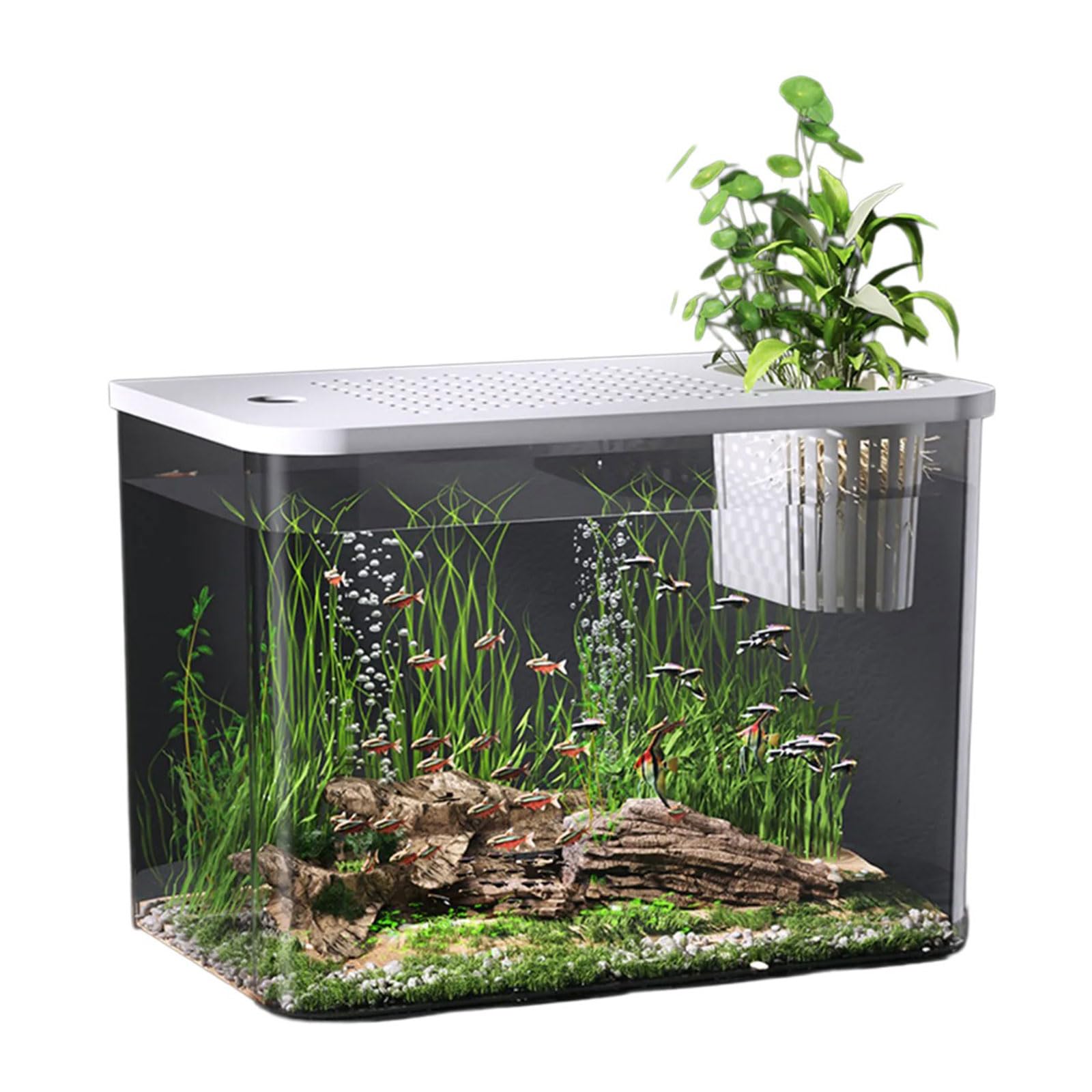 Modernes Leckdichtes Aquarium Mit Kindlich Sicherer Deckel Und Pflanzenhalter Home Office Desktop Fisch Lebensraum Ökologische Fischtanks