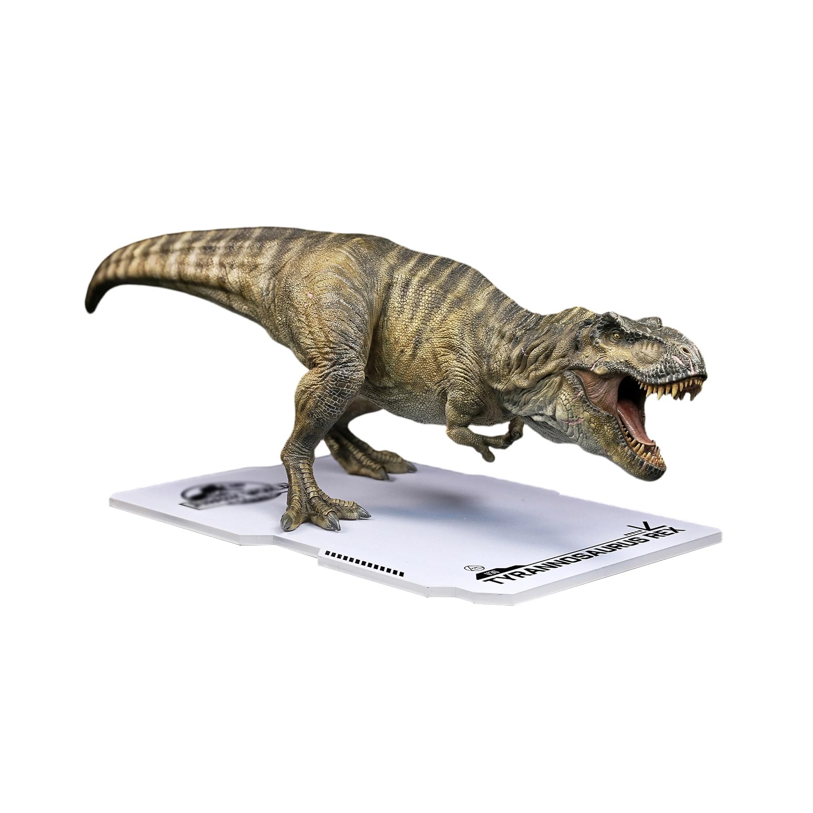 Amazon.co.jp: DINO DREAM 2025 1/30 サイズ ティラノサウルス
