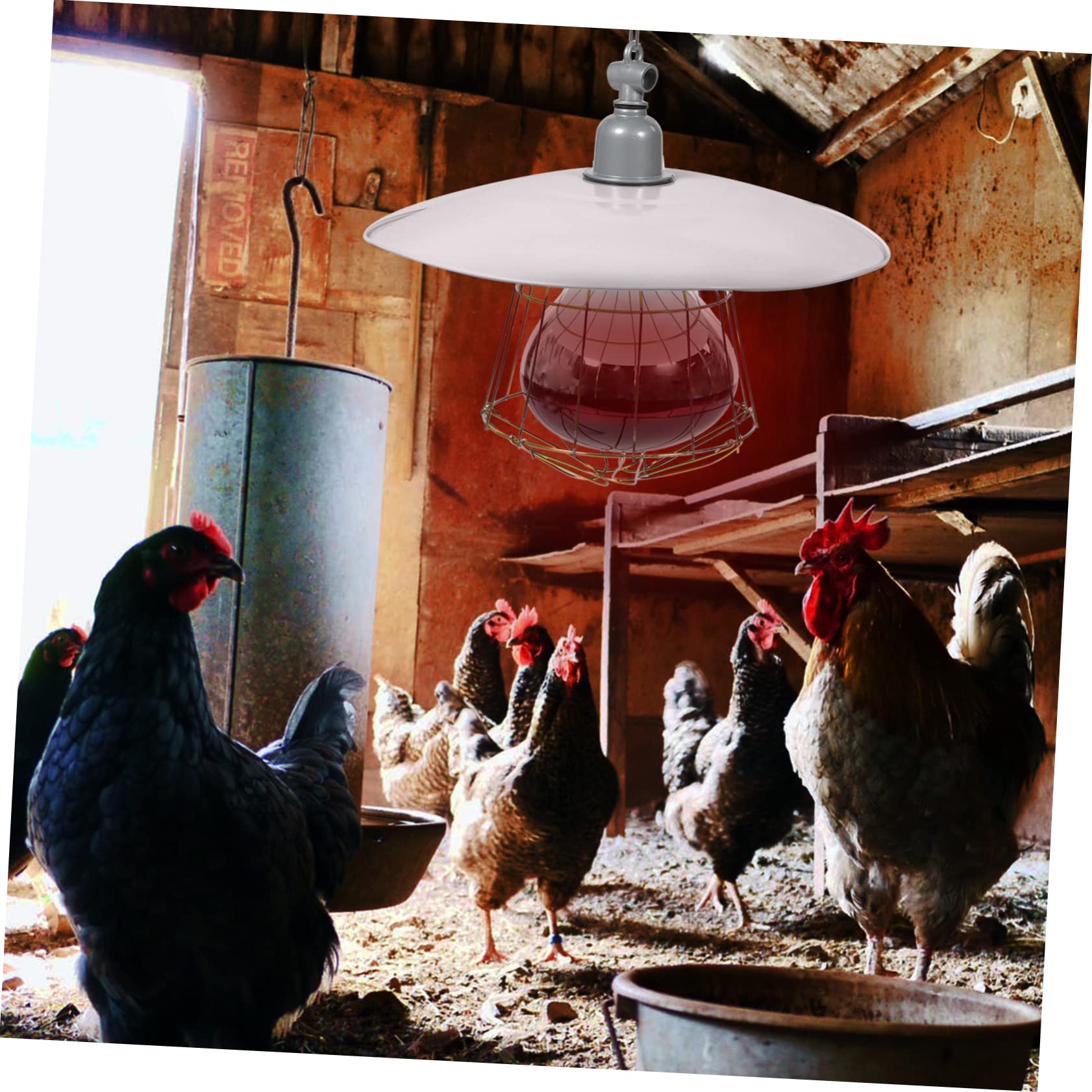 Beaupretty Lampe Chauffante pour Chiots et Oies en Fer Blanc, Facile à Utiliser Effet de Chauffage, pour L'élevage Conservation Chaleur