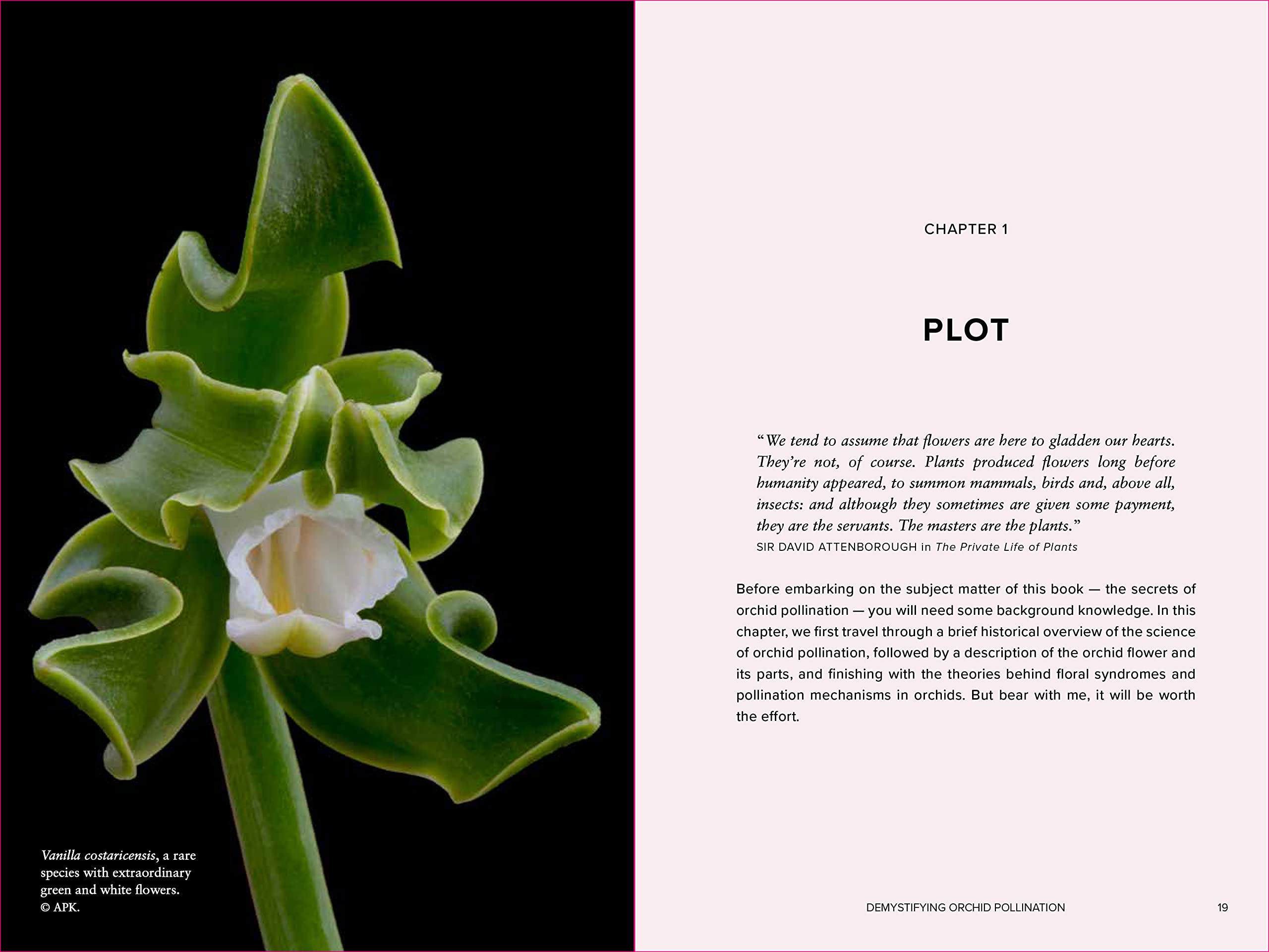 Demystifying Orchid Pollination: Stories of sex, lies and obsession