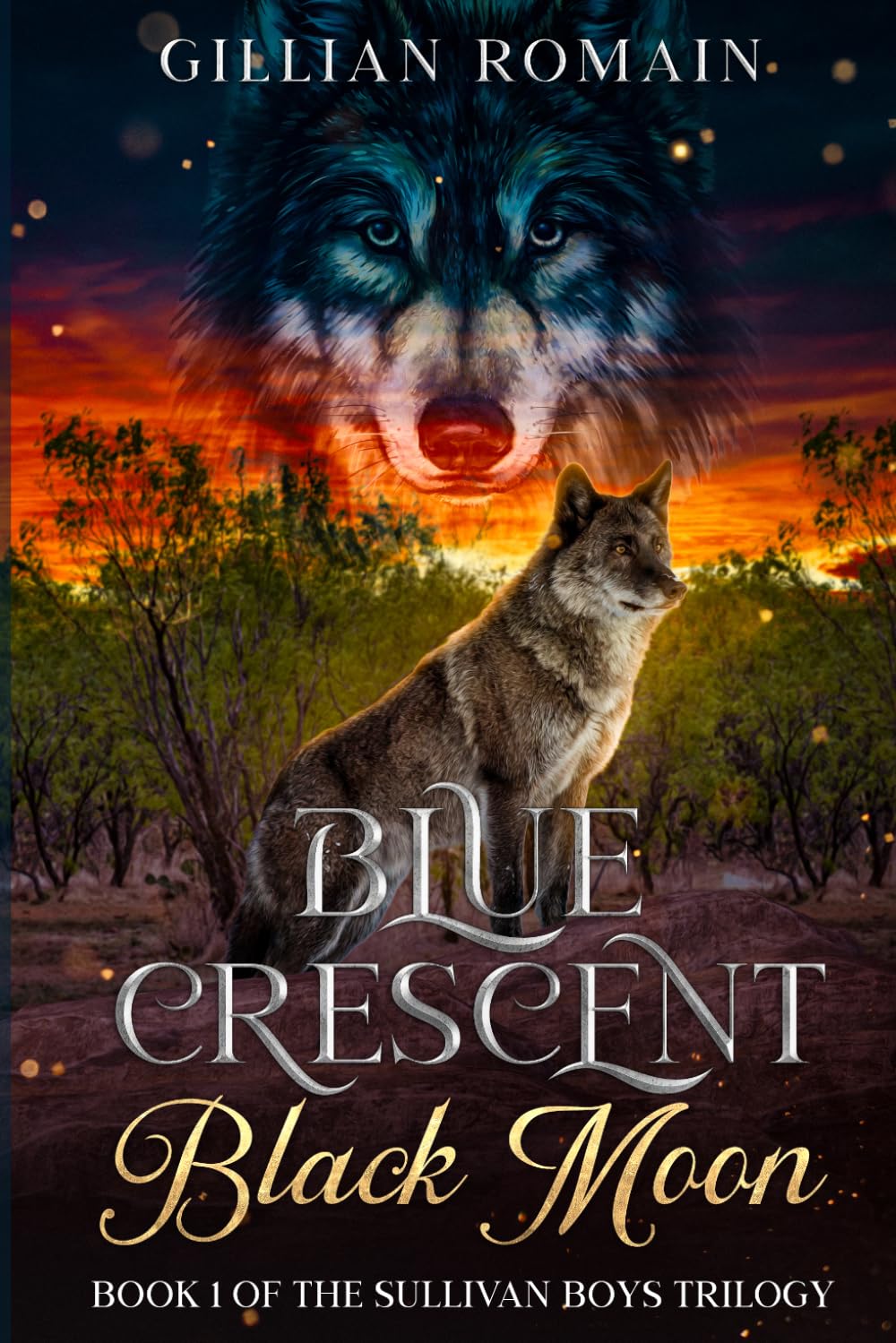 Blue Crescent Black Moon: Book 1 of The Sullivan Boys Trilogy