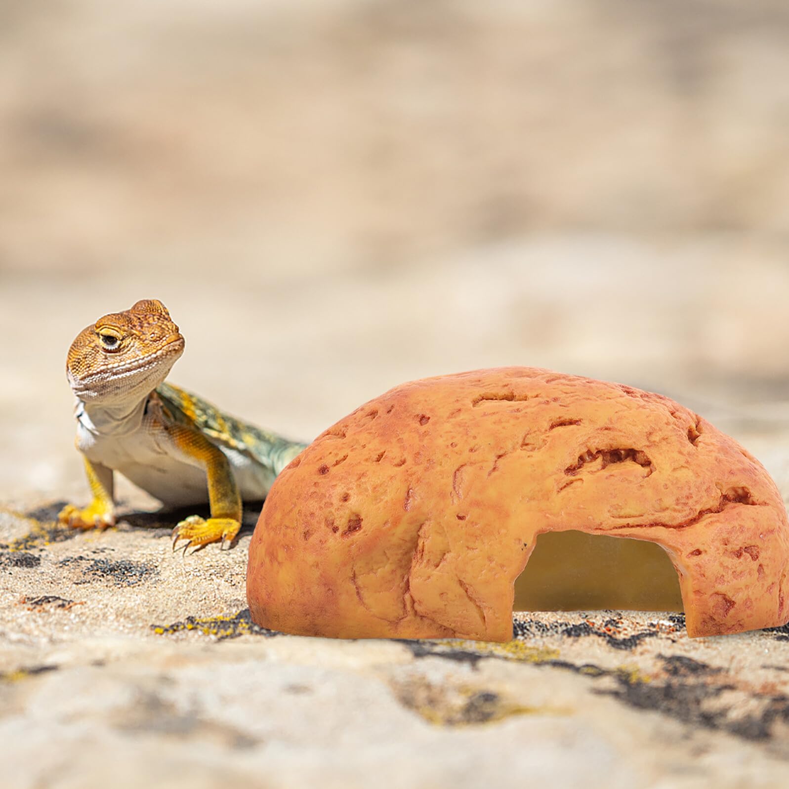 Escondite para Reptiles de Resina Cueva y Plataforma para Tomar el Sol Decoración para Terrarios de Tortugas Serpientes y Cueva Refugio Multifuncional para Mascotas Rastreras