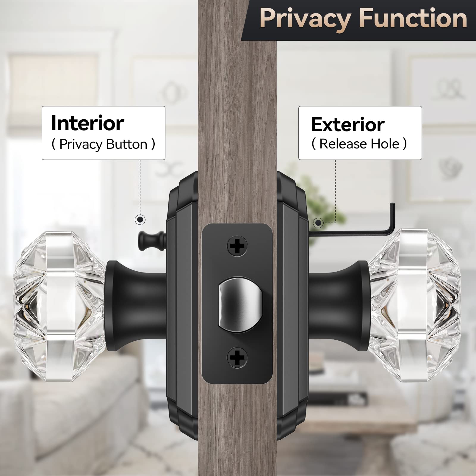 Matte Black Glass Door Knobs with Privacy Lock -3