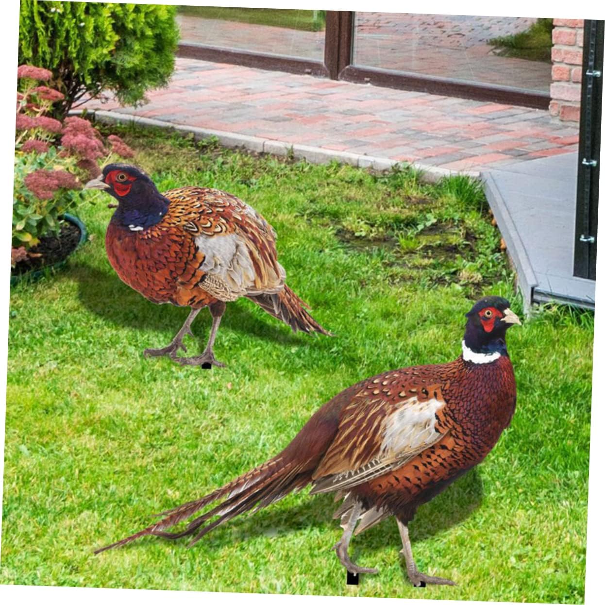 Healifty 2 Sets Realistic Double Sided Pheasant Garden Stake Decoration Durable Acrylic Ornament for Outdoor Lawn Patio UV Resistant Chicken Stake for Vibrant Garden Display
