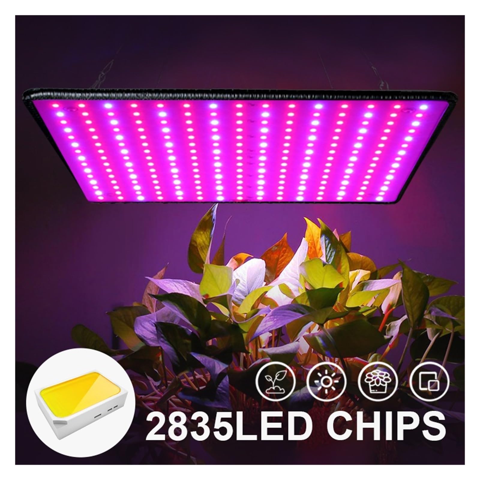 Lámpara de cultivo, Luz LED de cultivo de 2000W, lámpara Phyto de espectro completo, fitoamplificador interior for flores, luz Led roja for cultivo de plantas, tienda de cultivo, 2 uds.(2pcs blue red)