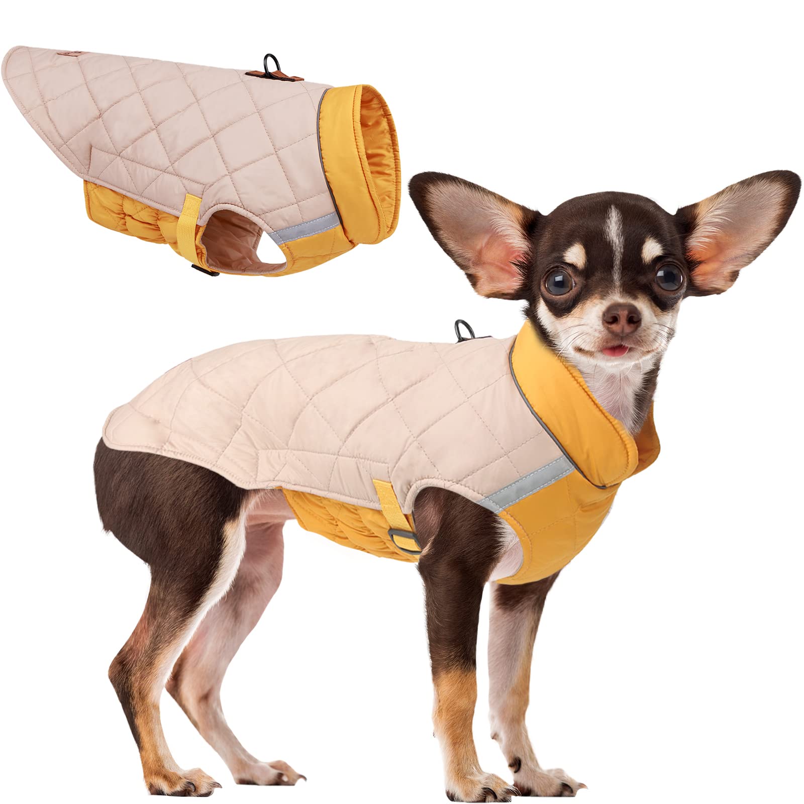 Is My Dog Warm Enough