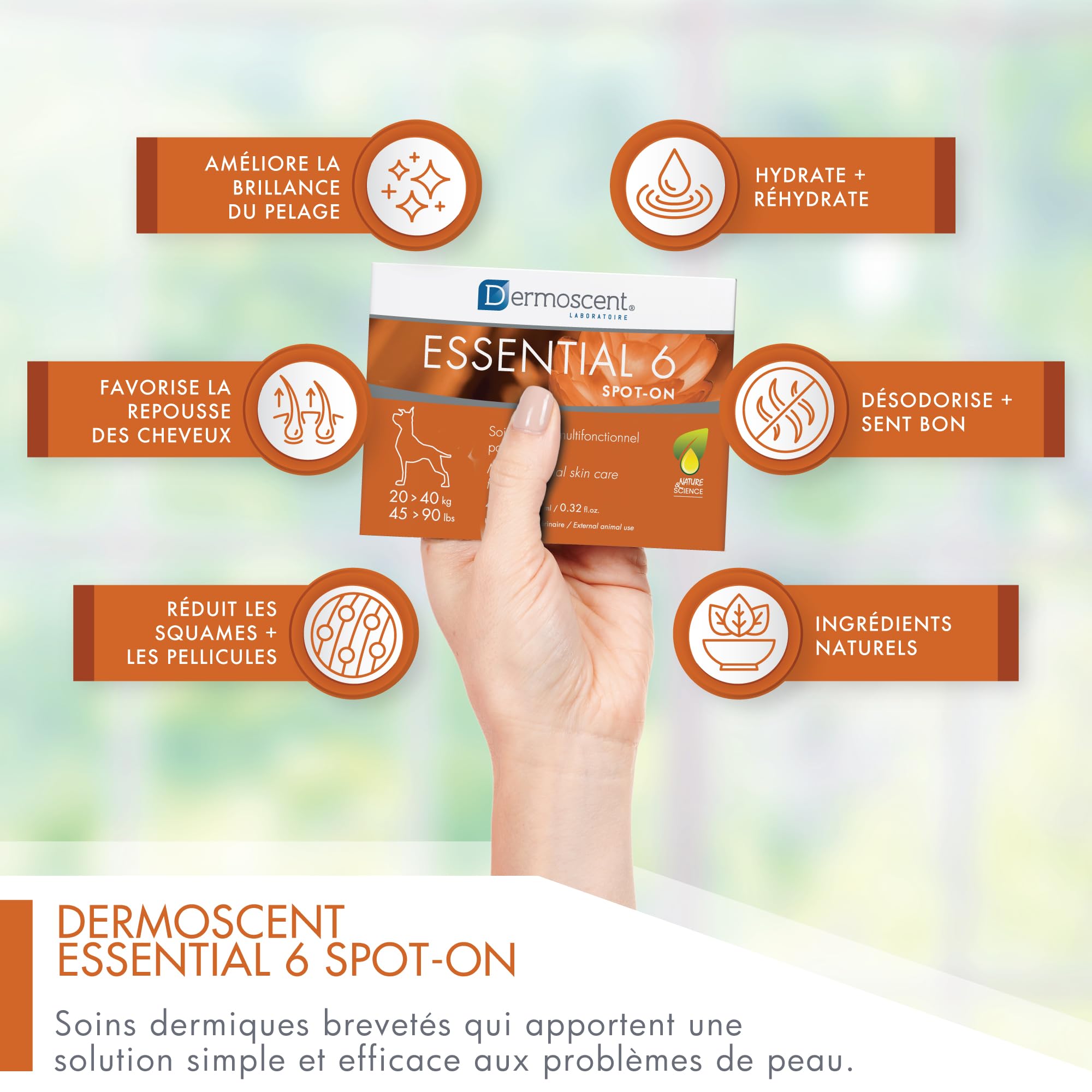 Dermoscent Essential 6 Spot-on pour Chien 20–40 kg | Soin Cutané Multifonctionnel Naturel | 4 Pipettes x 2,4 ML