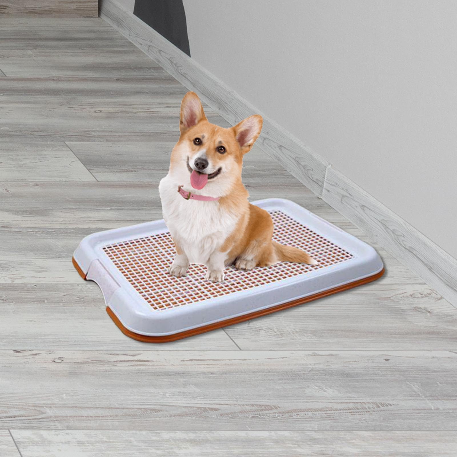 Support pour Tapis d'apprentissage de la propreté pour Chiots, bac à litière en pour Maille avec Base antidérapante, utilisable à l'intérieur comme l'extérieur