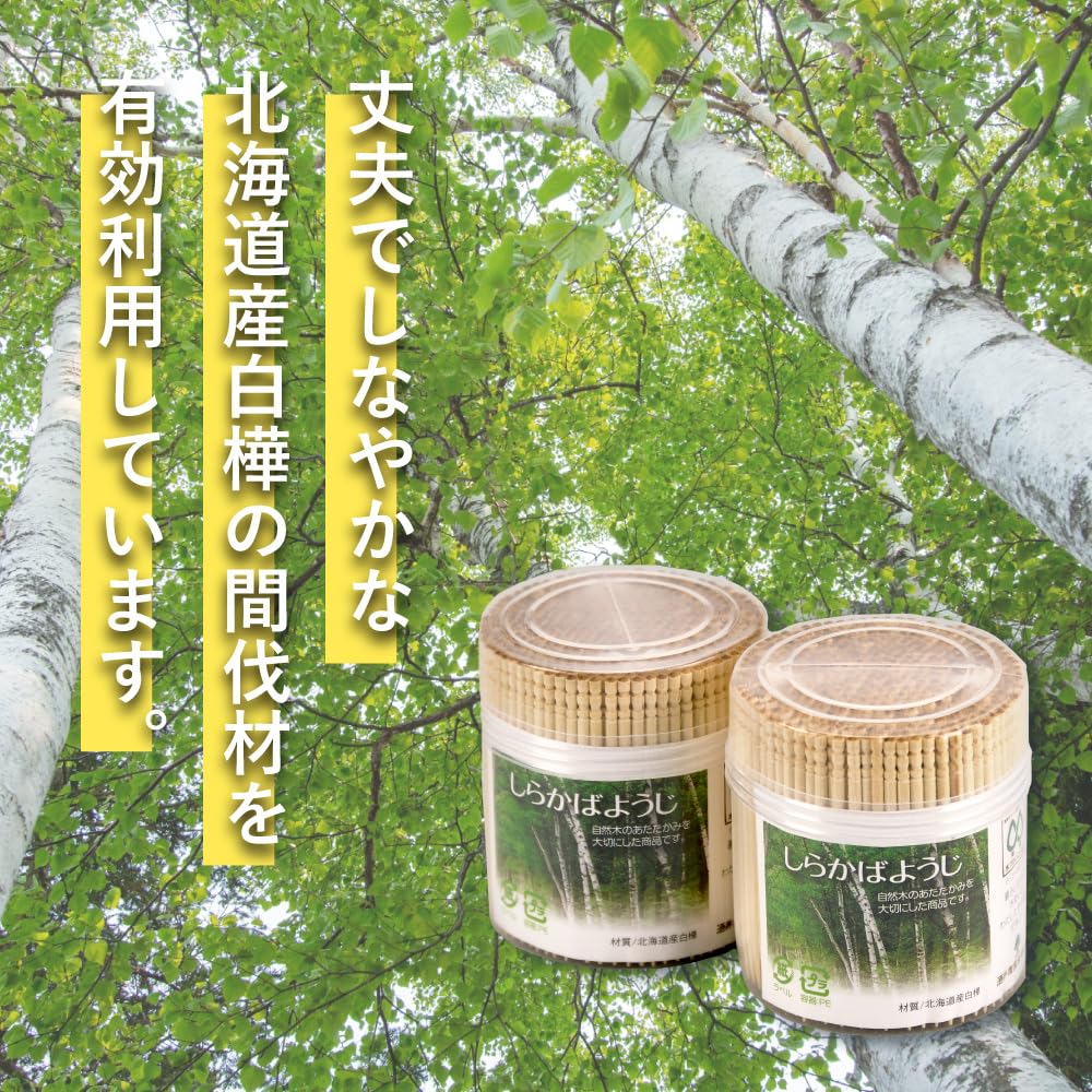 Amazon.co.jp: 酒井産業 北海道産しらかば爪楊枝 2個セット セット