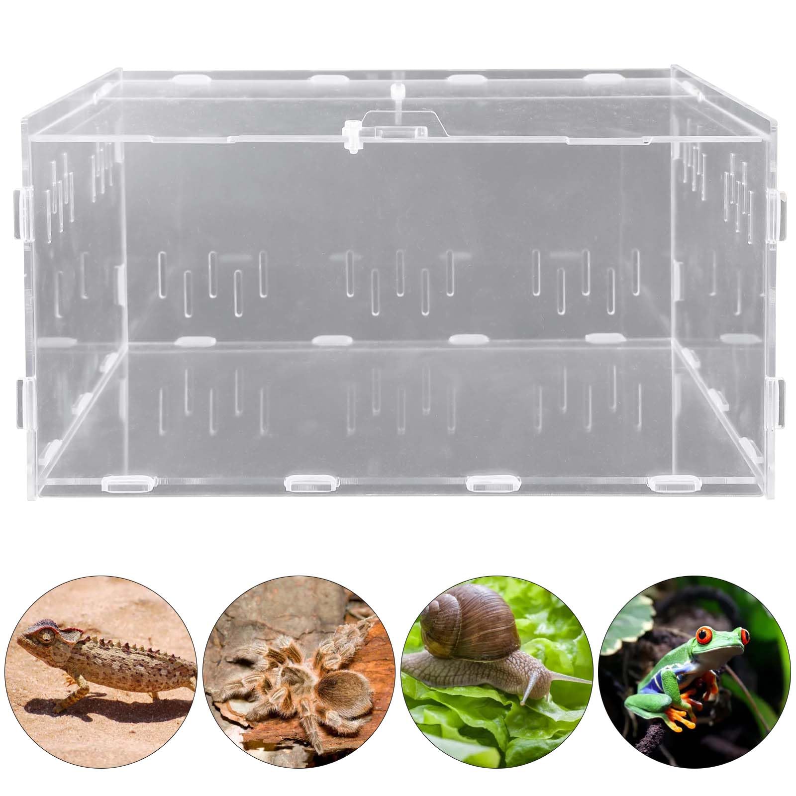 Boîte d'alimentation en acrylique pour reptiles, escargots, terrariums et insectes - Boîte de transport pour tortues d'eau, araignées, hamsters et ermites