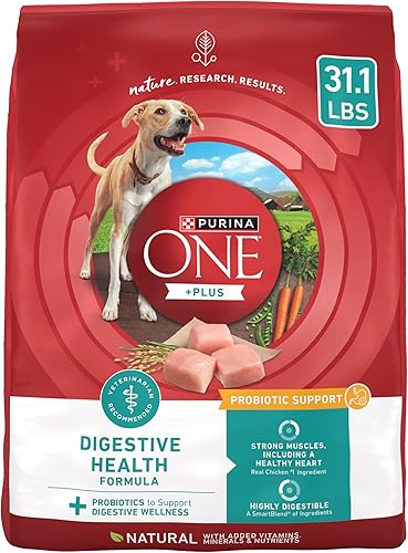 Purina ONE SmartBlend Natural Digestive Health Sensitive Stomach Adult Dry Dog Food Purina ONE SmartBlend Natural Digestive Health Sensitive Stomach Adult Dry Dog Food