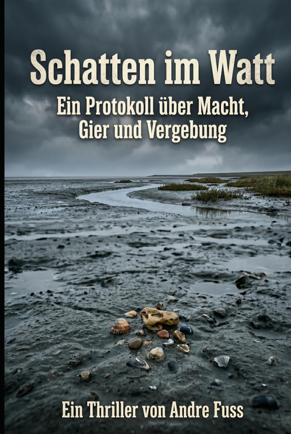 Schatten im Watt: Ein Protokoll über Macht, Gier und Vergebung