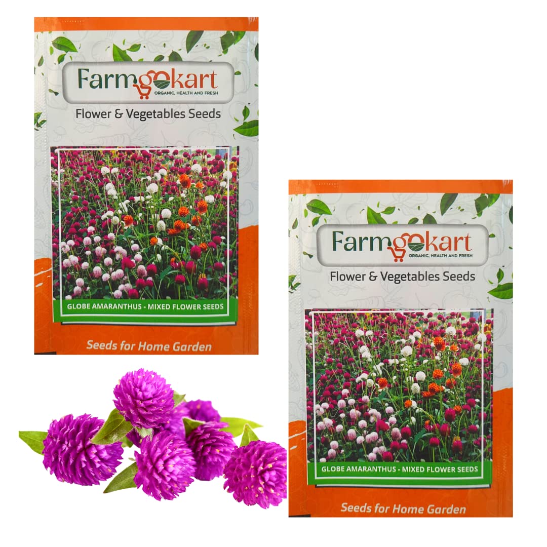 Farmgokart Pack Of 2 Packets Of GLOBE AMARANTH MIXED -Flower Seeds|Easy To Grow| Best Suitable For Terrace And Home Gardening| Quality Flower Seeds Pouch (B09NYDJHYM) Amazon Price History, Amazon Price Tracker