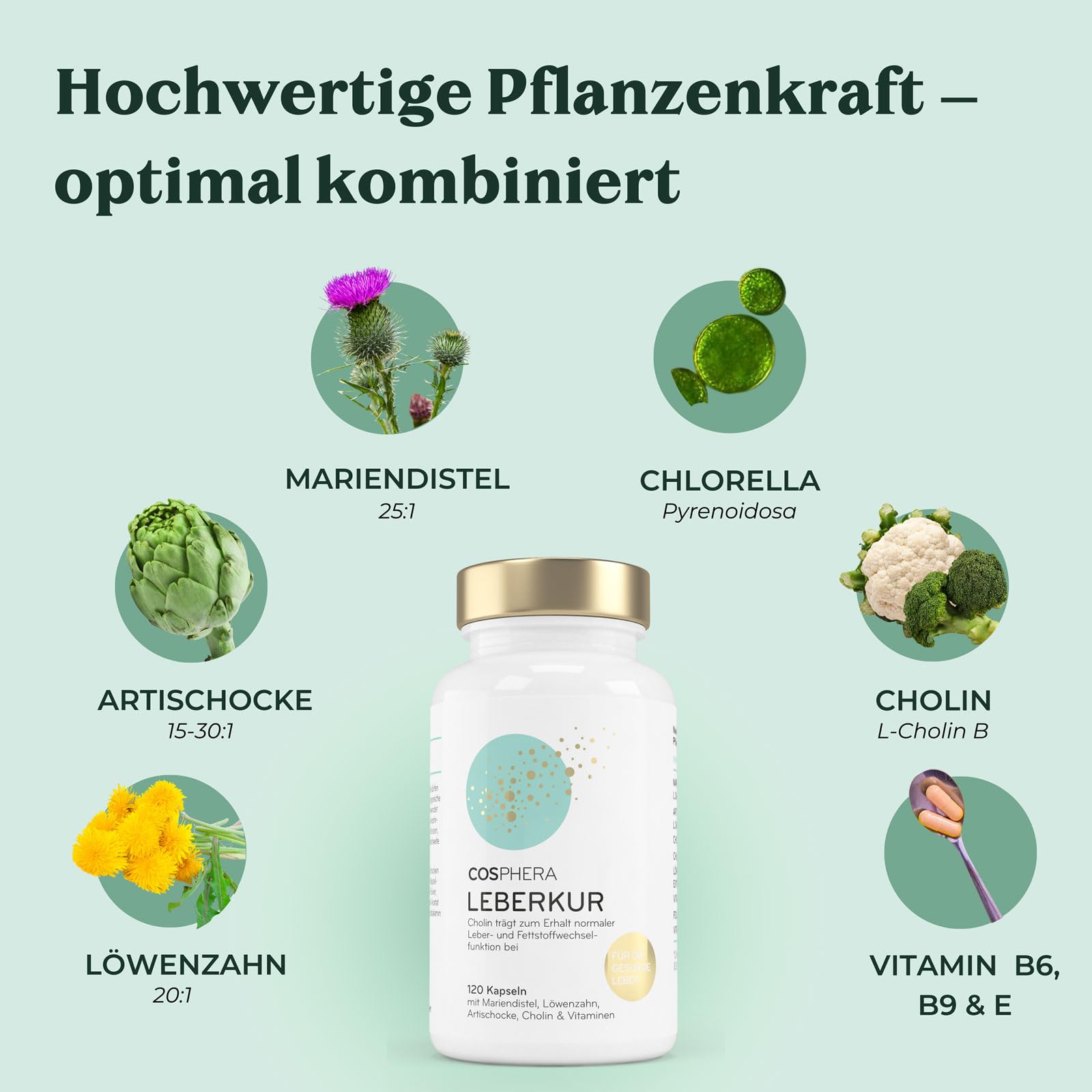 Leber Kur Mariendistel Kapseln hochdosiert - mit 80% Silymarin, Artischockenextrakt, Löwenzahn & Cholin - Unterstützt die Leberfunktion, vegan - 8-Fach Leberkomplex von Cosphera