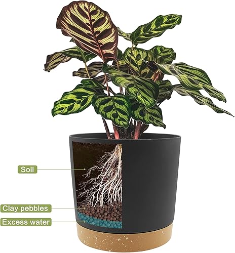 Miniatura 4 de QCQHDU Maceta de 6.5 pulgadas, paquete de 2 macetas para plantas de interior con agujeros de drenaje y platillo, macetas para exteriores, decoración