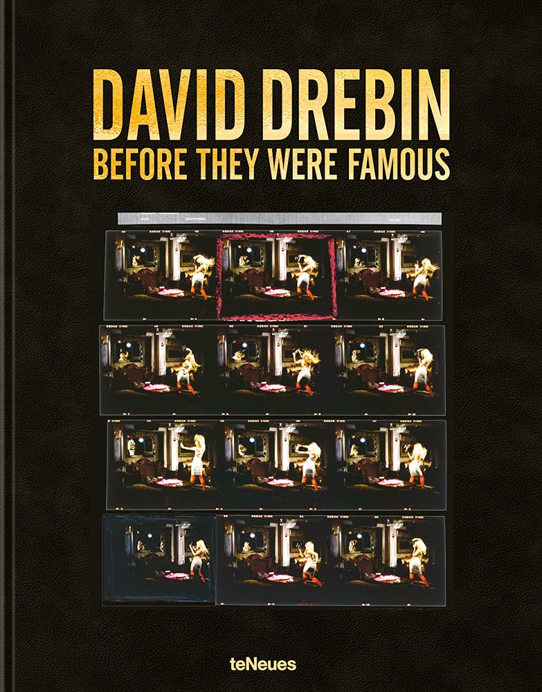 Before They Were Famous: David Drebin