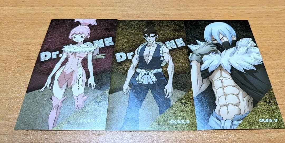 Dr.STONE ダッシュストア ポストカード 氷月 Dr.Stone ドクスト ドクターストーン 推しくじ ポストカード 氷