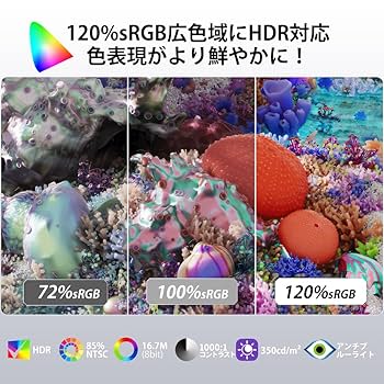 Amazon.co.jp: 【期間限定5倍ポイント】cocopar モニター 24.5