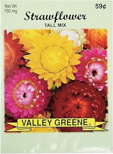 Miniatura 2 de Juego de paquetes de semillas de flores a granel, ideal para crear el jardín de tus sueños. (50, amapola - maíz rojo)