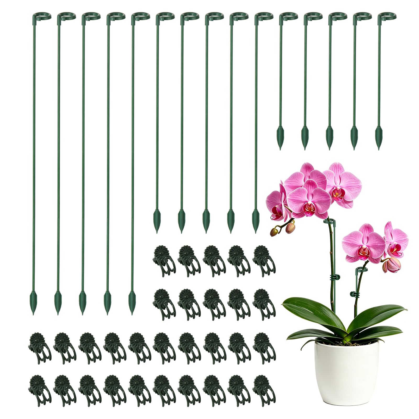 LUCKJUJU 30-Pack Plant Support Stakes