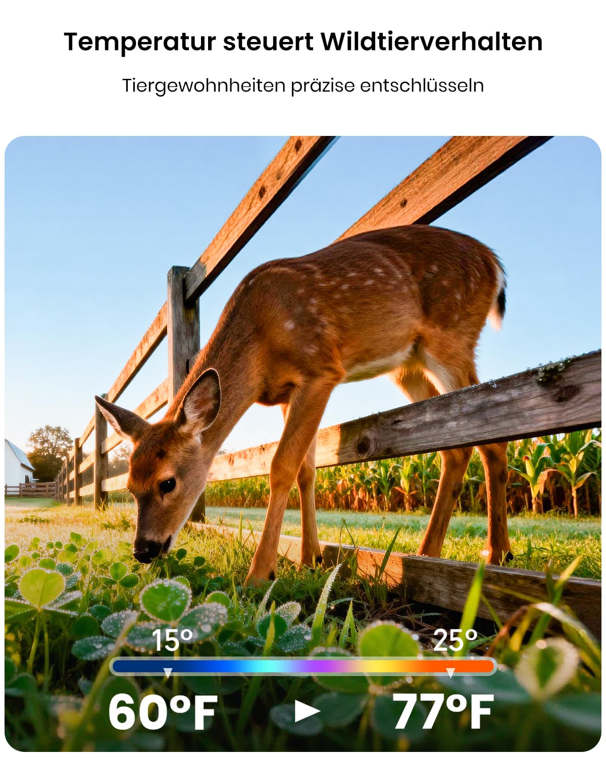 Misstech 4K 64MP UHD Solar Wildkamera mit Handyübertragung App, Klare Nachtsicht, Solar-autark, 0,1s Bewegungsmelder, Ohne ABO, Lokal Gespeichert, Datensicher, IP66 für Garten & Naturschutz