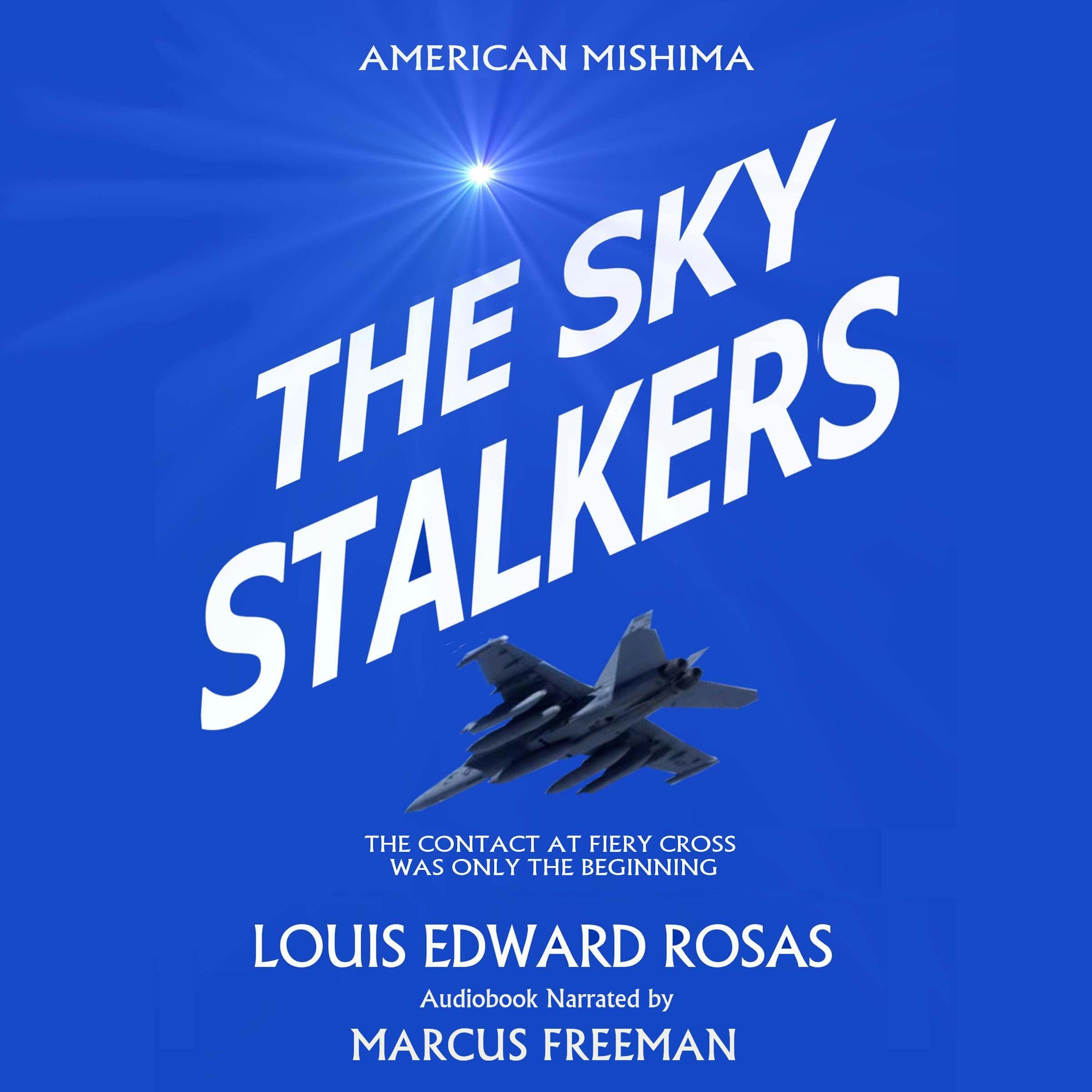 Cover art for The Sky Stalkers