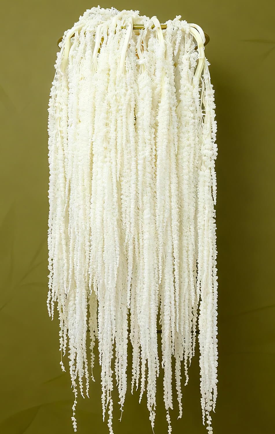 EquSym 7-pack Ivory White Preserved Amaranthus