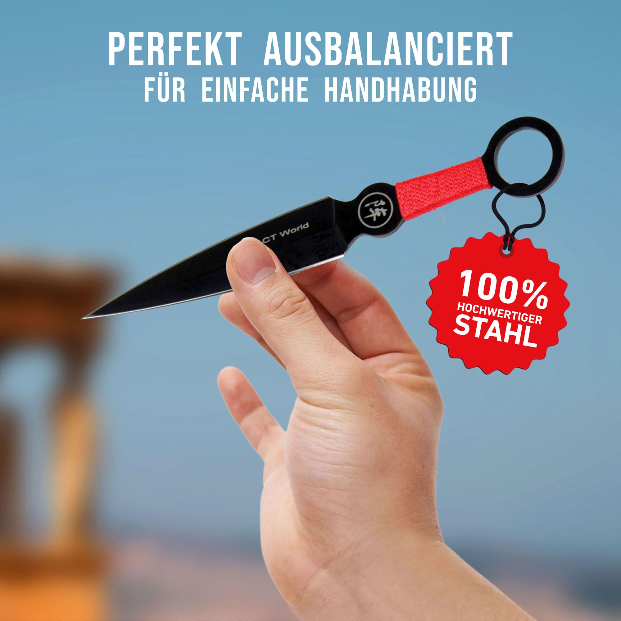 Swords and more 9-teiliges Outdoor-Messer-Set aus Edelstahl mit Zielscheibe – kompakte Campingmesser mit Gürtelscheide und rutschfestem Griff – Ideal für Outdoor, Camping & Cosplay – Schwarz